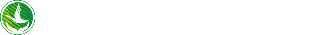/zngcxy/